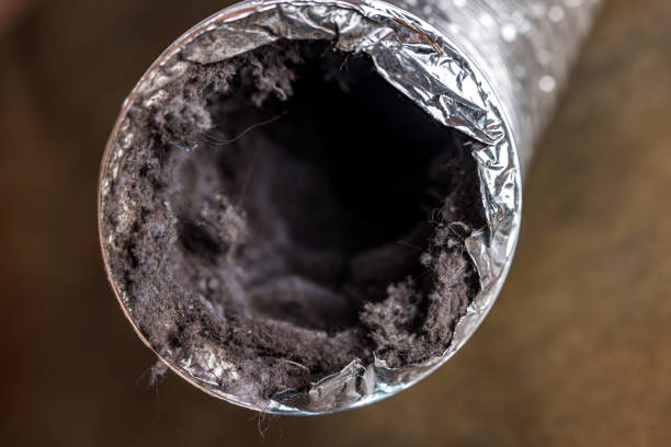 Best Affordable Air Duct Cleaning  in Sparta, MI